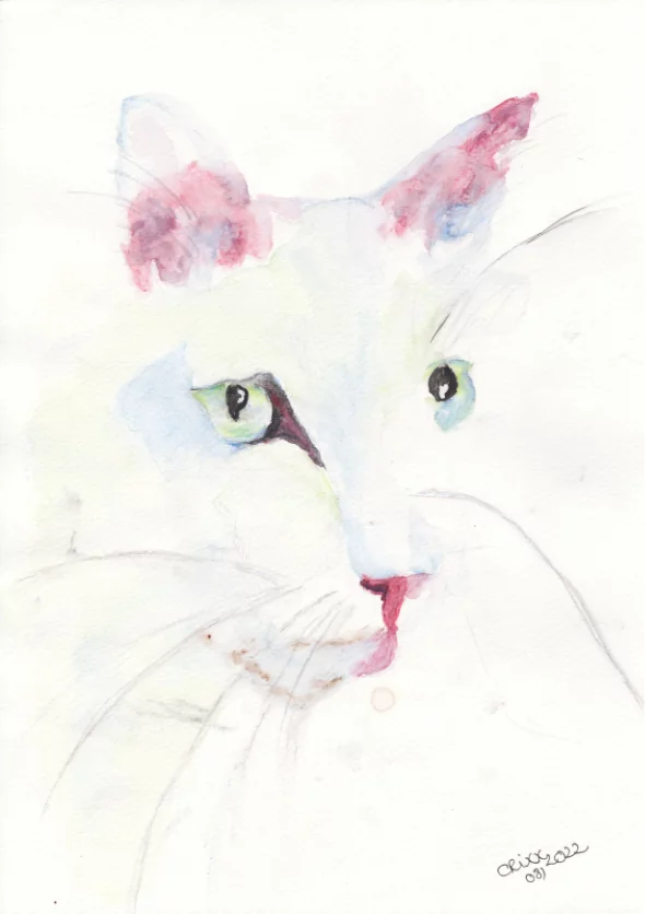 Watercolor Cat, White, long hair, green eyes, snowwhite,cat, female, light and soft painting, cat prtrait