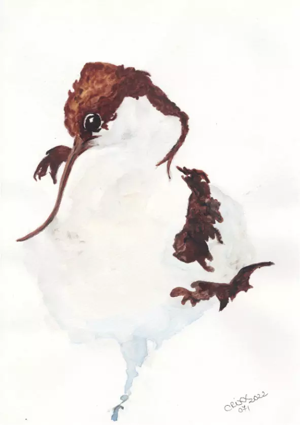 Water bird watercolor painting. Abstract interpretation in soft off white and blue washes and deep burnt sienna colors. Front view. White background.