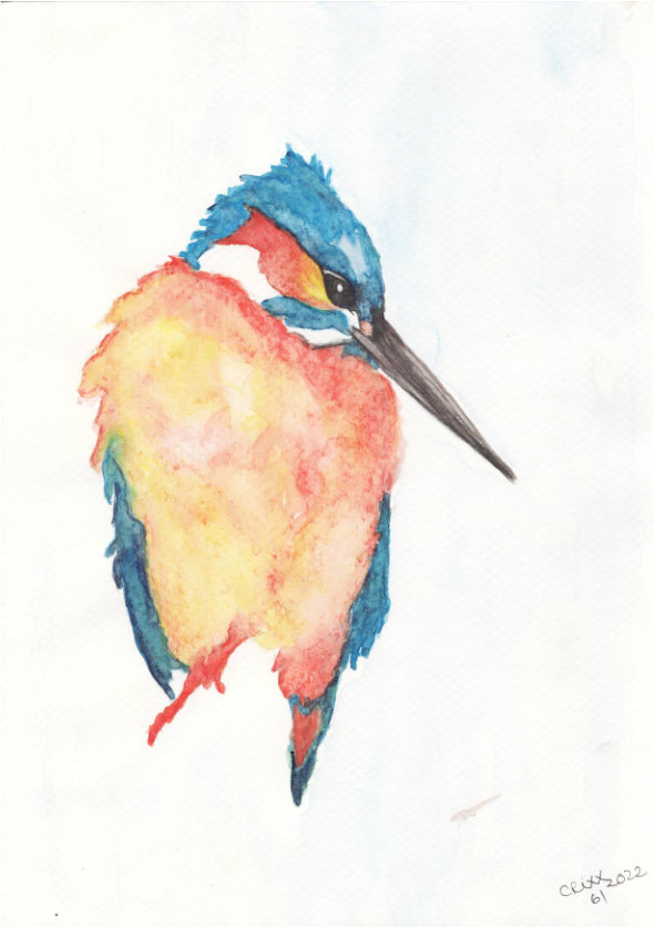 Kingfisher painting, watercolor bird, bright shades of orange, turquoise and petrol colors