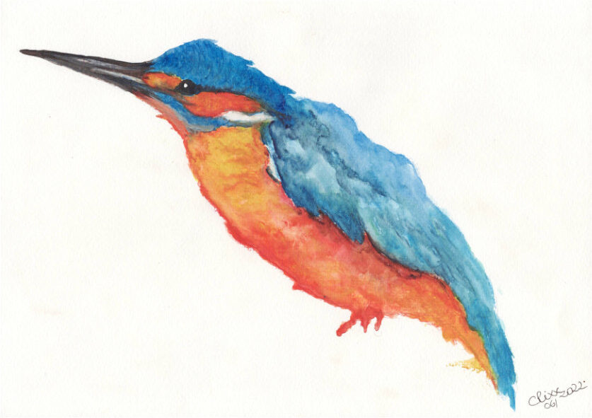 Kingfisher painting, watercolor bird, deep shades of reddish orange color, blue and petrol, side view