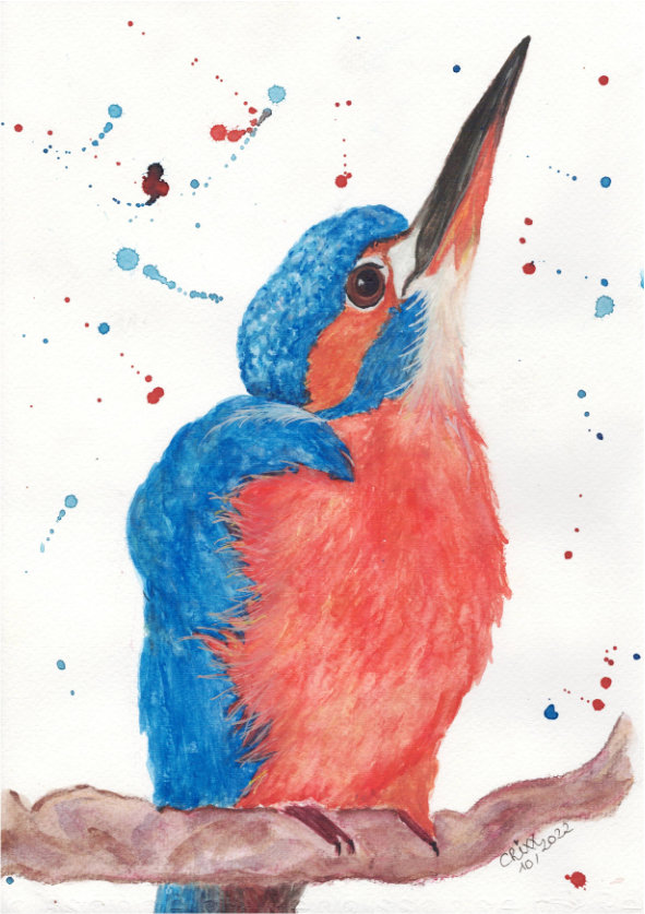 Kingfisher painting, watercolor bird, sitting on a branch, multicolored splashes, intense orange colors with deep royal blues and dark turquoise colors