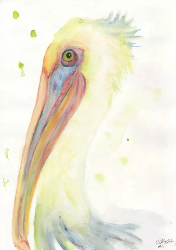 White soft pastel pelican portrait painting, watercolor bird, soft white cream colors, multicolored beak with soft blues and orange, light green splashes, original