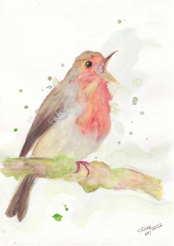 Singing Robin bird painting, watercolor, sitting on a light green brown branch,airy reddish colors with grey and nuances in brown, green splashes