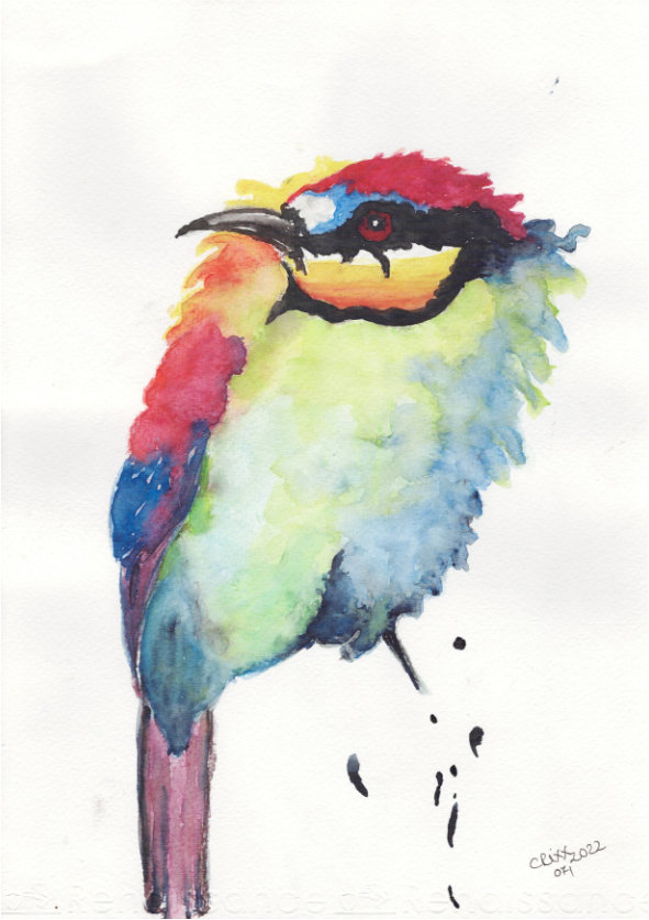 Colorful Bee - eater bird, watercolor painting, front - side view, Colors ranch from intense yellow, green deep blues, to orange and magenta red, front - side view