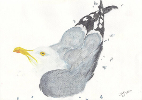 Seagull Bird, watercolor painting, shades of grayish blue, off white, yellow, grey splashes