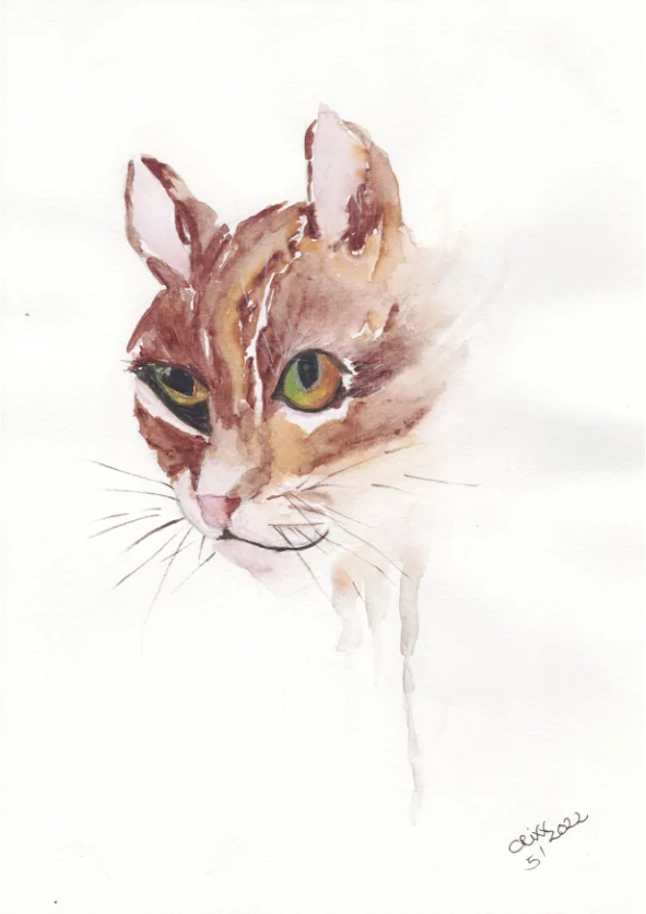 Watercolor Cat, lucky cat, three colored cat, female, tiger cat, brown, white, red, ginger, black, cat portrait