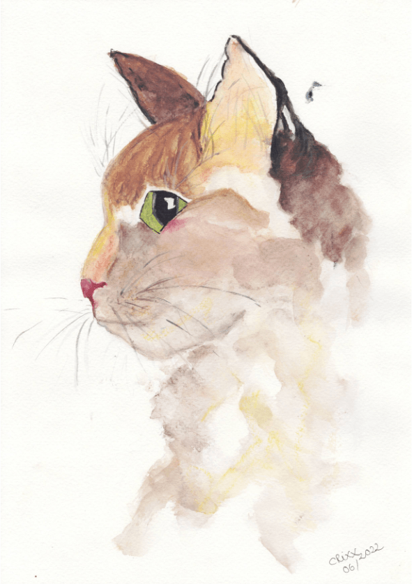 Watercolor Cat, cat portrait, lucky three colored cat, bron, white, red, ginger, black, original, green eyes