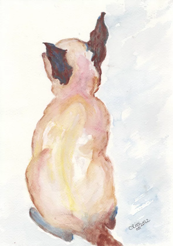 Watercolor Cat, Siam cat, cat shape, light brown and beige colored cat, original
