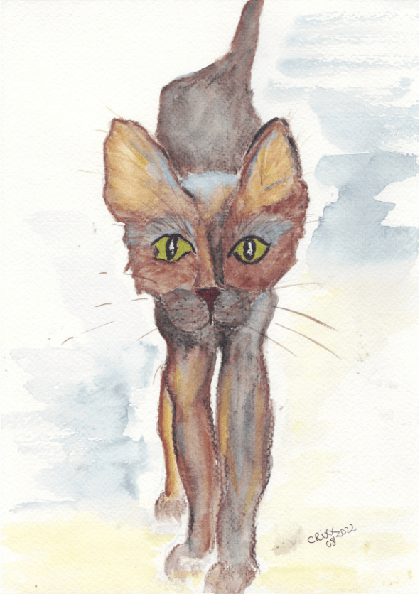 Watercolor Cat, street cat, black and brown cat, walking cat, greyish blue colors and dark brown colors, original, large ears
