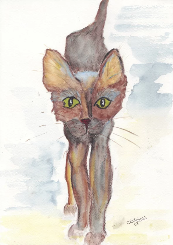 Watercolor Cat, street cat, black and brown cat, walking cat, greyish blue colors and dark brown colors, original, large ears