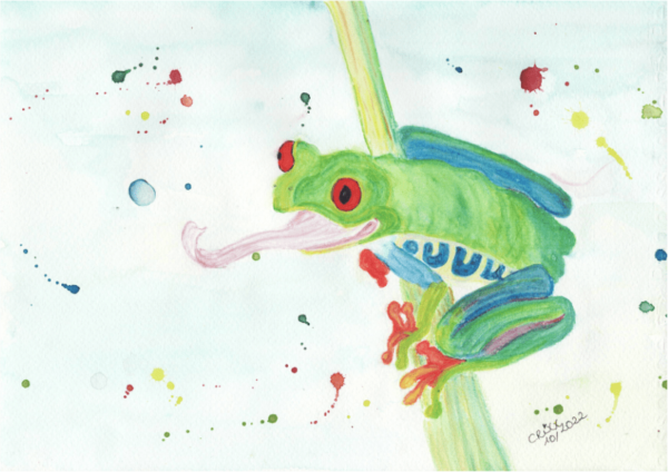 Watercolor Frog, bright multicolor painting, nature, wildlife, art for your home, joyful watercolor painting, Watercolor Frog, bright multicolor painting, nature, wildlife, art for your home, joyful watercolor painting, original