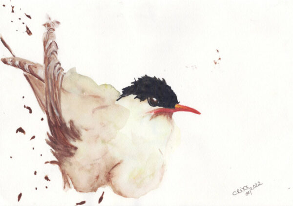Colorful Asian bird watercolor painting. Light green, olive green, yellow, red, blue, side view, green paint splashes, white background.