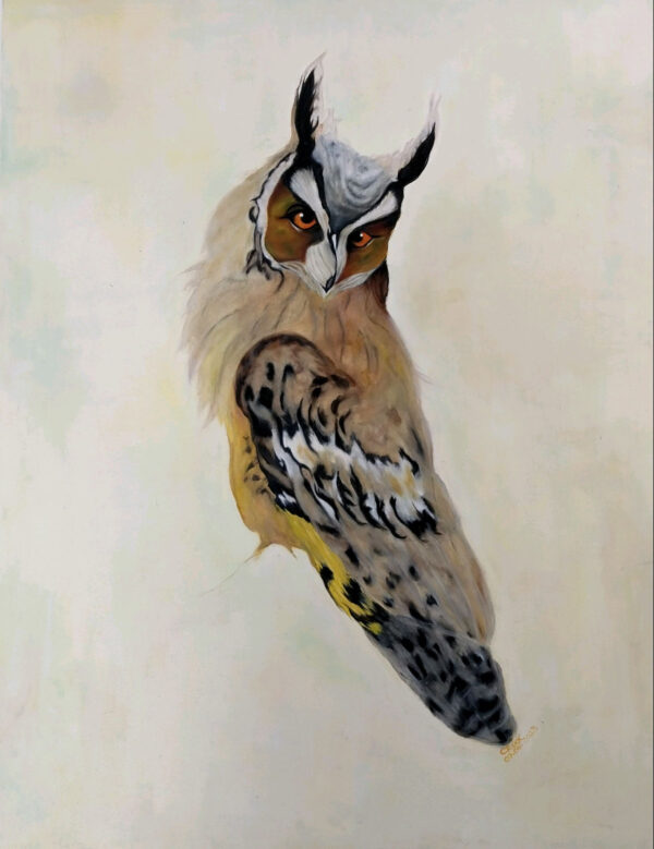 Little Owl oil painting