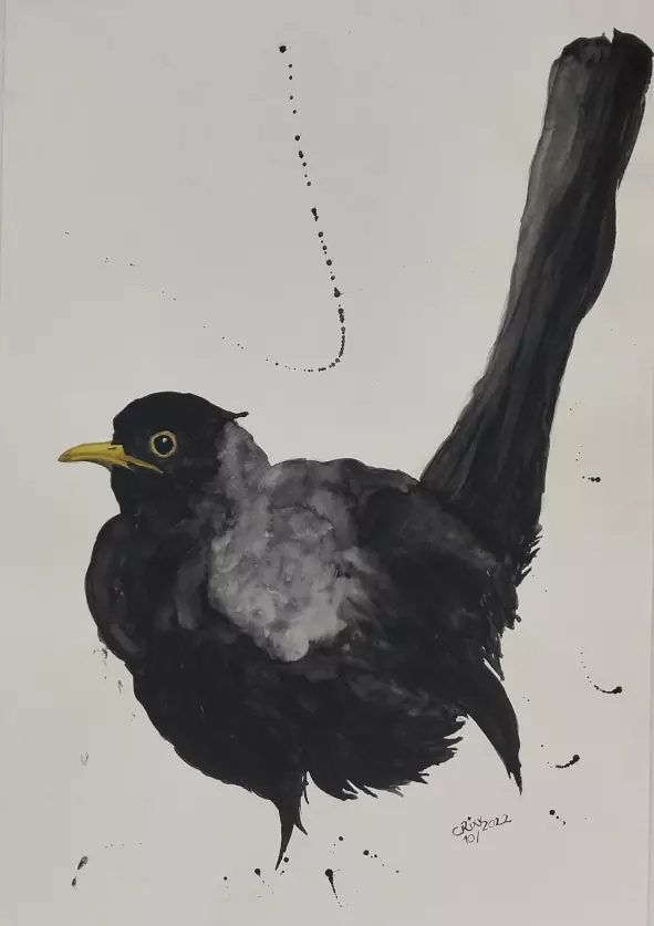 Black bird watercolor painting