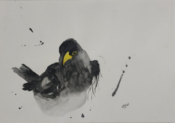 Black bird watercolor painting