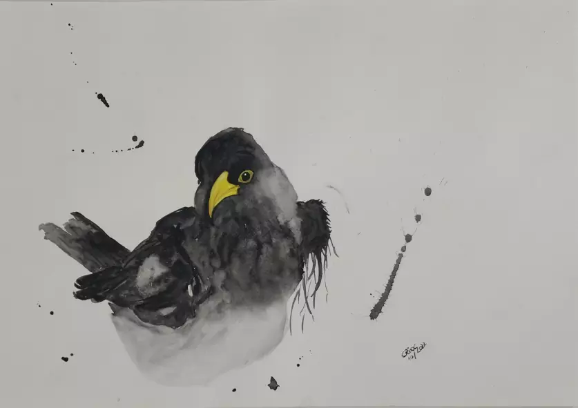 Black bird watercolor painting