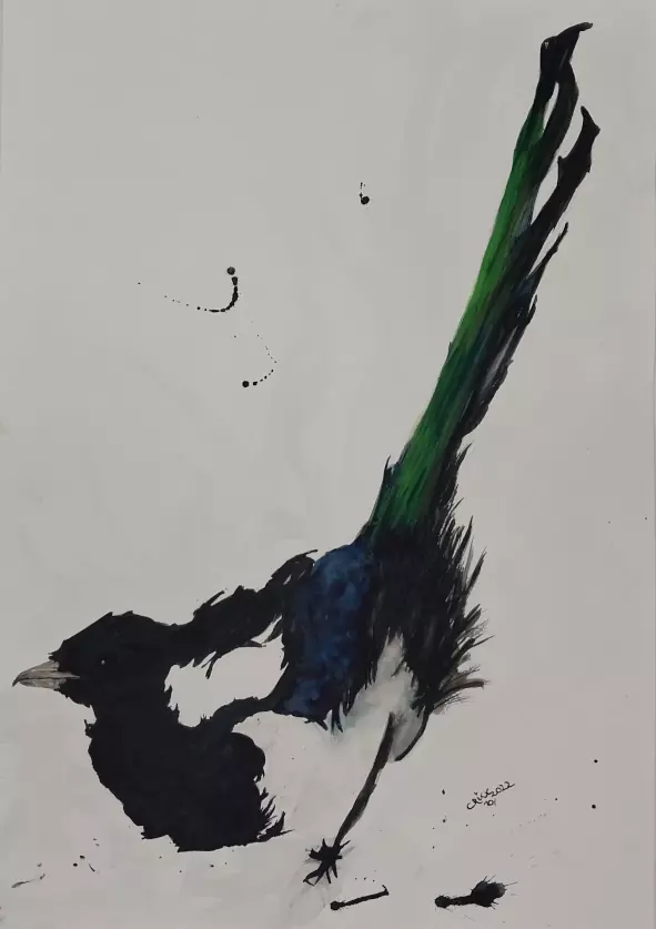 Magpie bird Magpie bird
