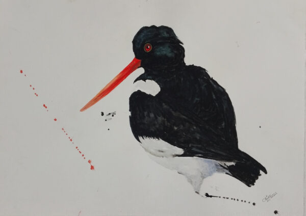 Rale bird watercolor painting