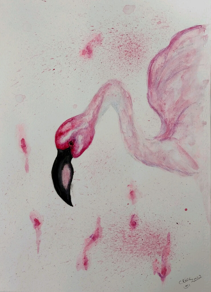 Flamingo bird watercolor painting