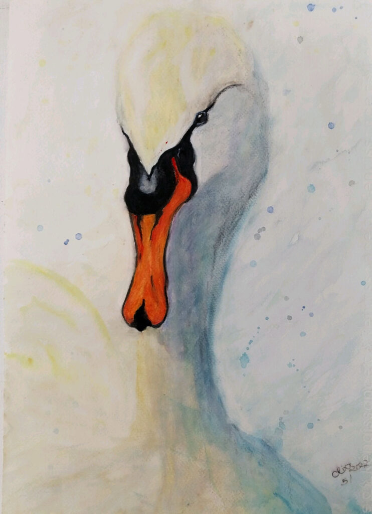 Swan watercolor painting