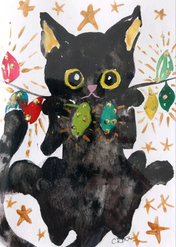 Kitten in the lights