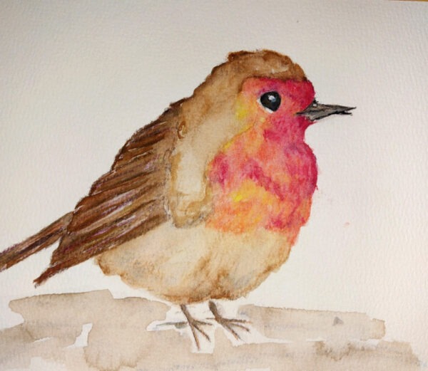 Robin bird watercolor painting