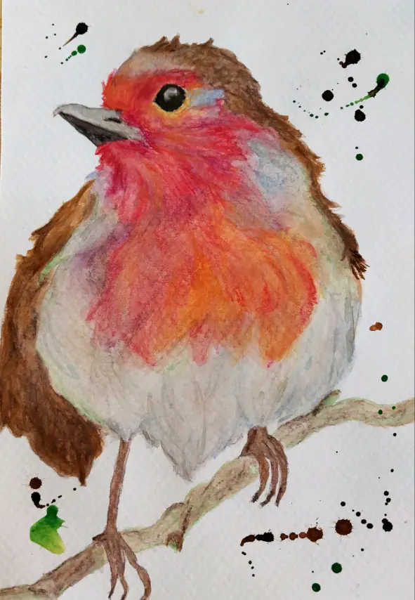 Thinking Robin