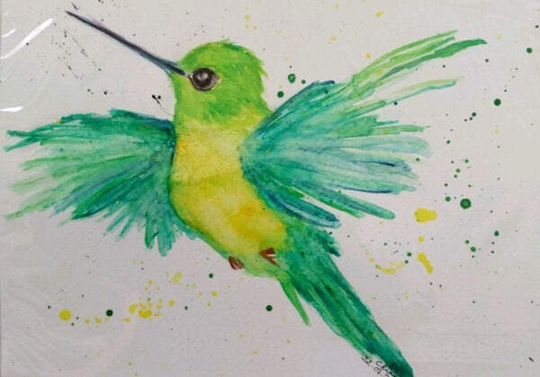 Hummingbird 2, watercolor and pencils