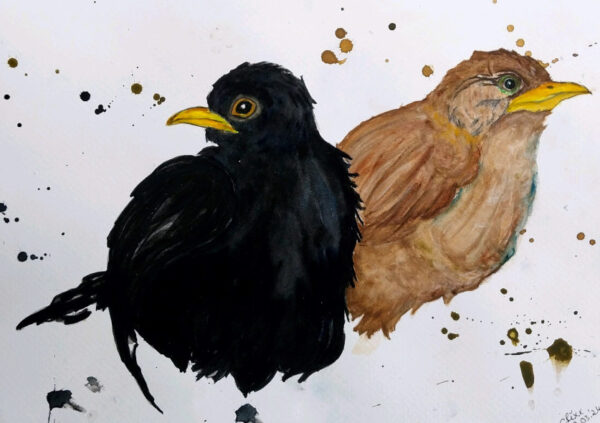 Blackbird couple watercolor painting