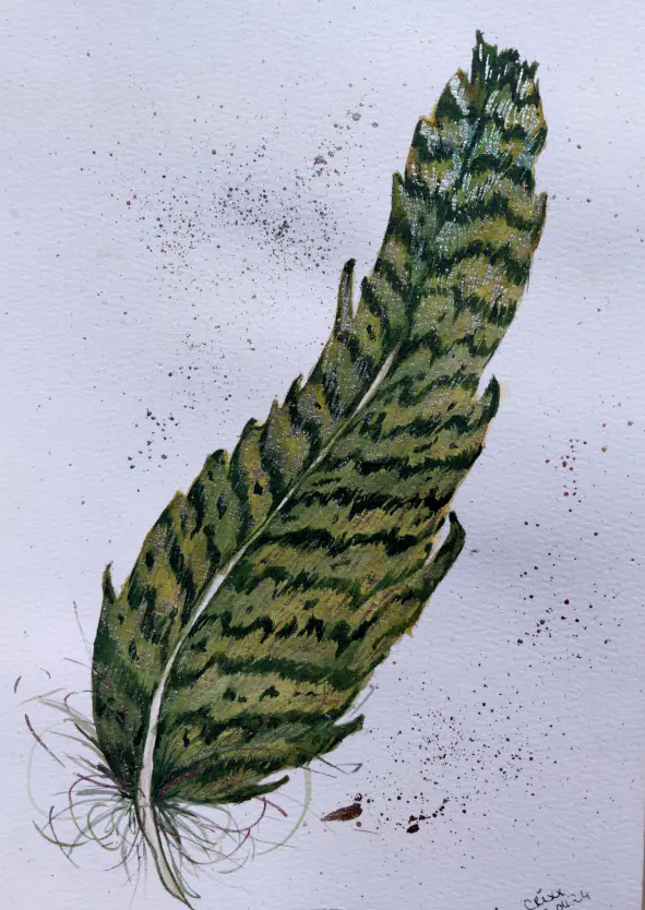 Magic Feather