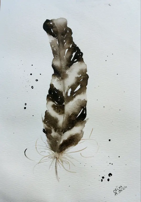 Feather Black and White